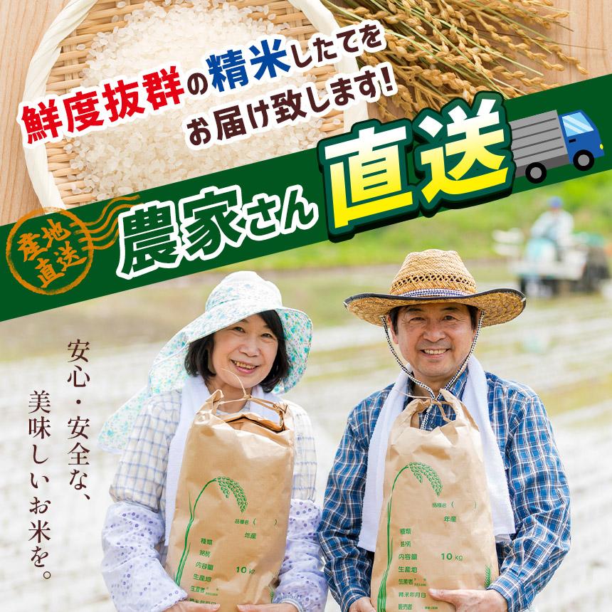 【定期便6回】栃木県産 こしひかり 白米 5kg 2026年 先行予約 | 栃木県 矢板市