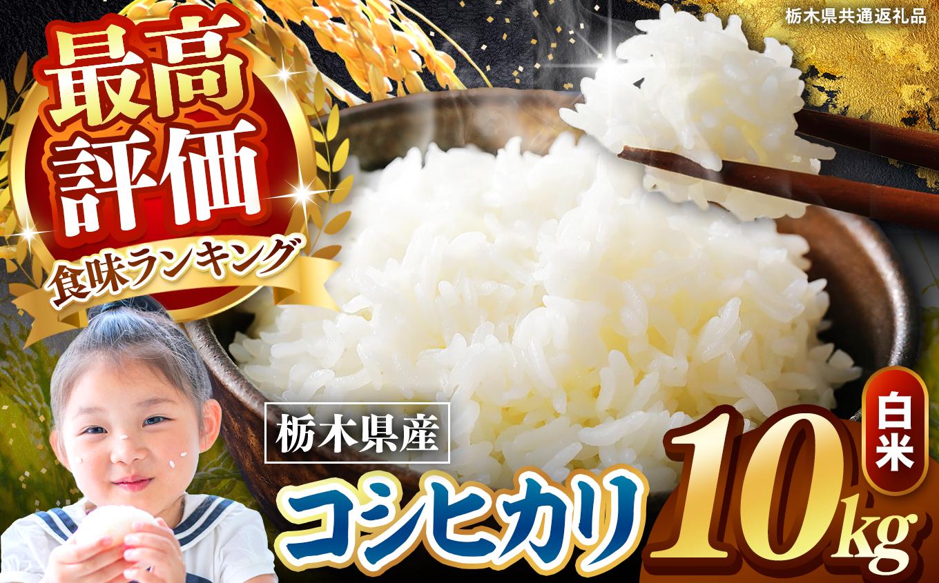 栃木県産 こしひかり 白米 10kg 2026年 先行予約 | 栃木県 矢板市