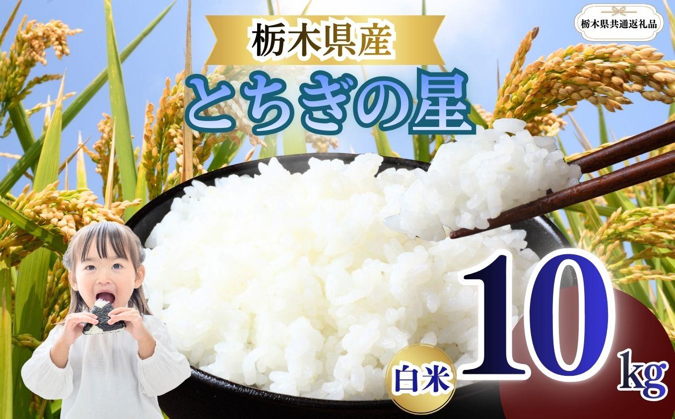 とちぎの星 精米 10kg  | 栃木県 矢板市