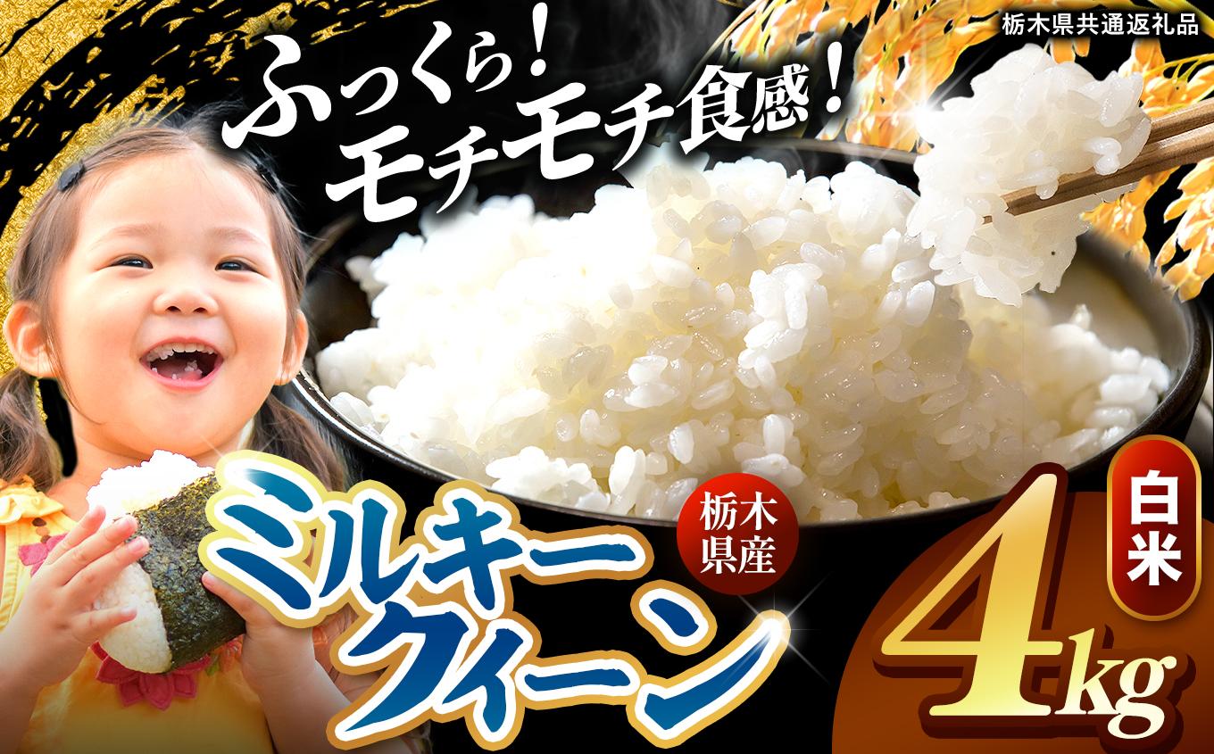 栃木県産 ミルキークイーン 白米 4kg 2026年 先行予約 | 栃木県 矢板市