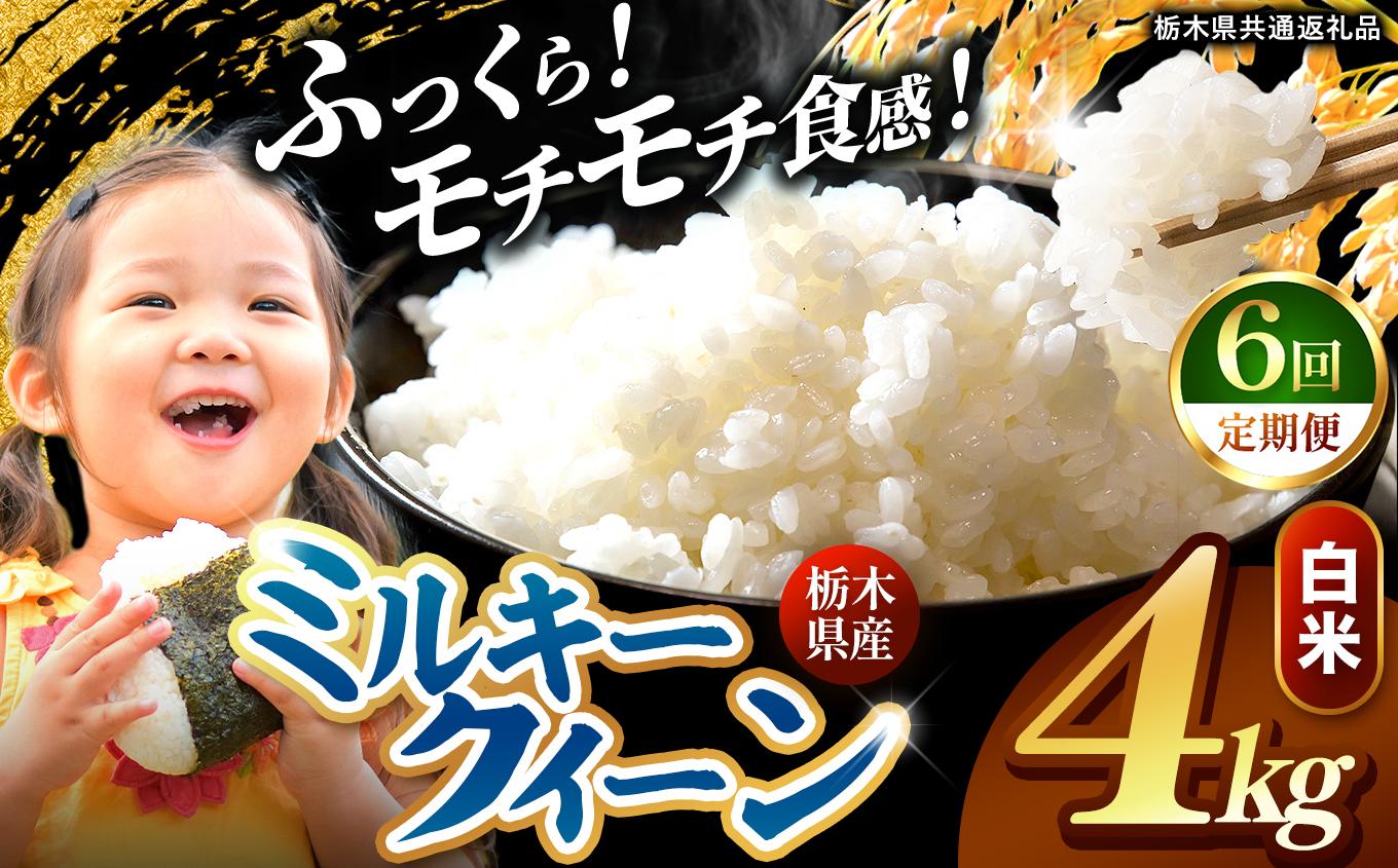【定期便6回】栃木県産 ミルキークイーン 白米 4kg 2026年 先行予約 | 栃木県 矢板市