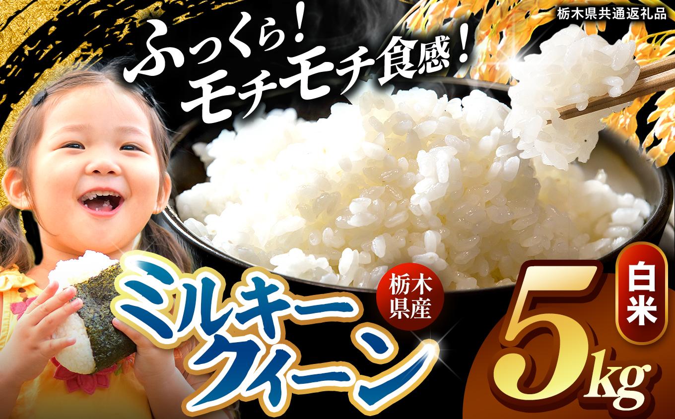 栃木県産 ミルキークイーン 白米 5kg 2026年 先行予約 | 栃木県 矢板市