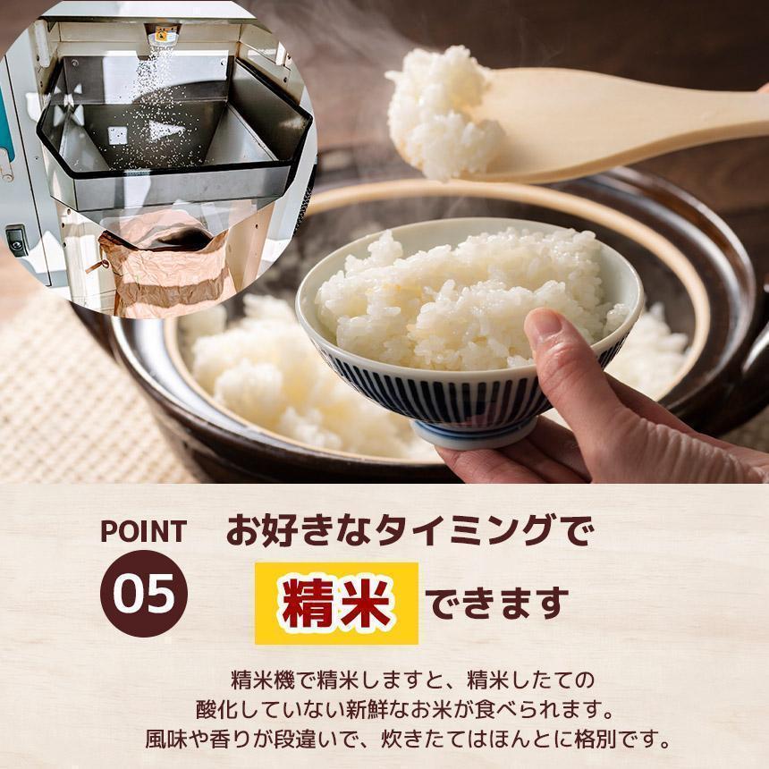 ミルキークイーン 精米 5kg  |栃木県 矢板市