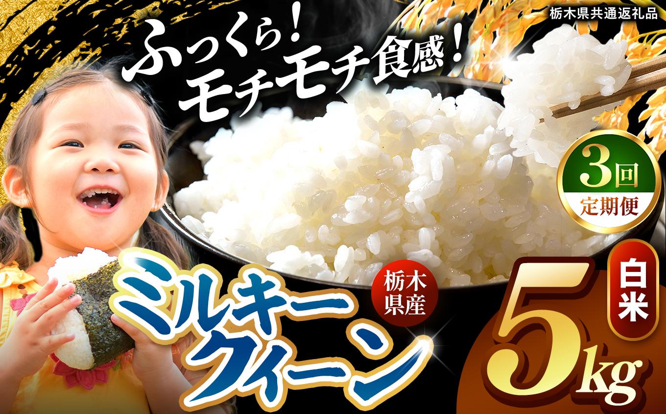 【定期便3回】栃木県産 ミルキークイーン 白米 5kg 2026年 先行予約 | 栃木県 矢板市
