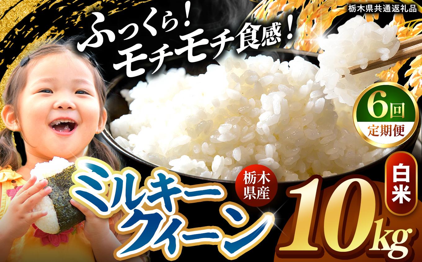 【定期便6回】栃木県産 ミルキークイーン 白米 10kg 2026年 先行予約 | 栃木県 矢板市