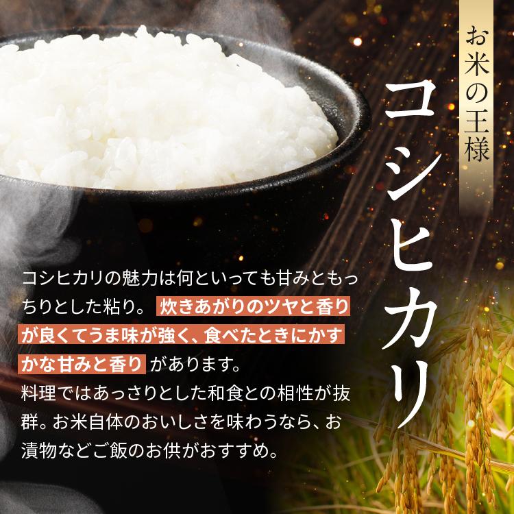 栃木県産コシヒカリ白米 10kg【栃木県共通返礼品】