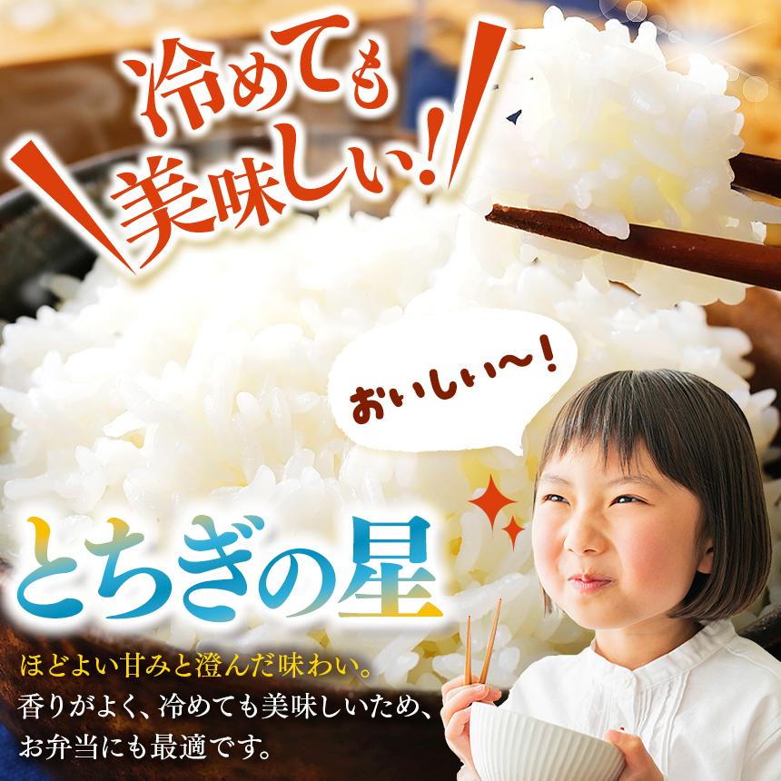 パックごはん とちぎの星 栃木県矢板市産 お米 100％ 150g×8個