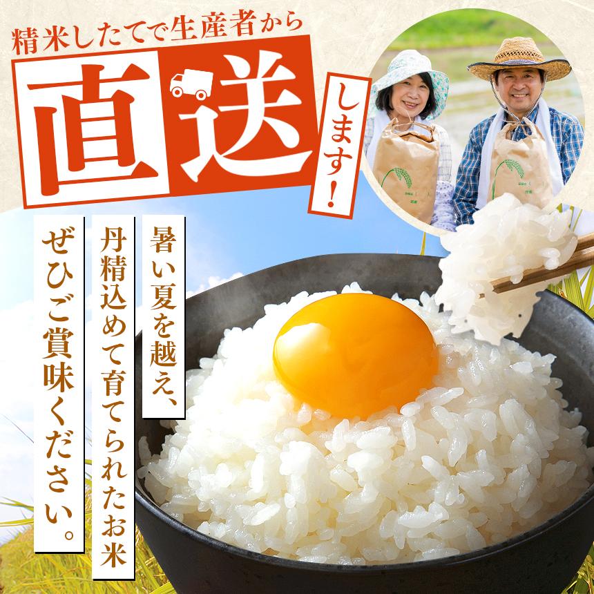 パックごはん とちぎの星 栃木県矢板市産 お米 100％ 150g×8個