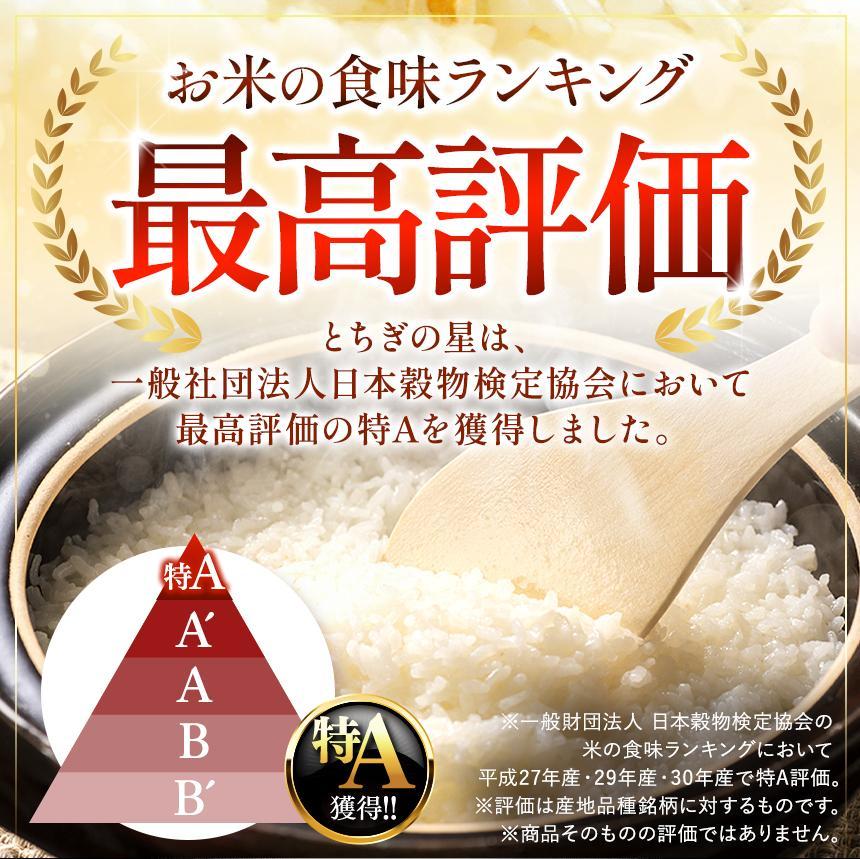 パックごはん とちぎの星 栃木県矢板市産 お米 100％ 150g×20個