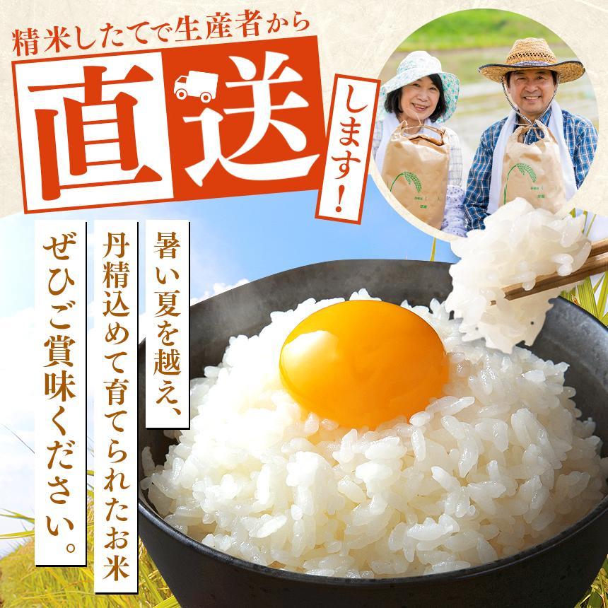 パックごはん とちぎの星 栃木県矢板市産 お米 100％ 150g×20個
