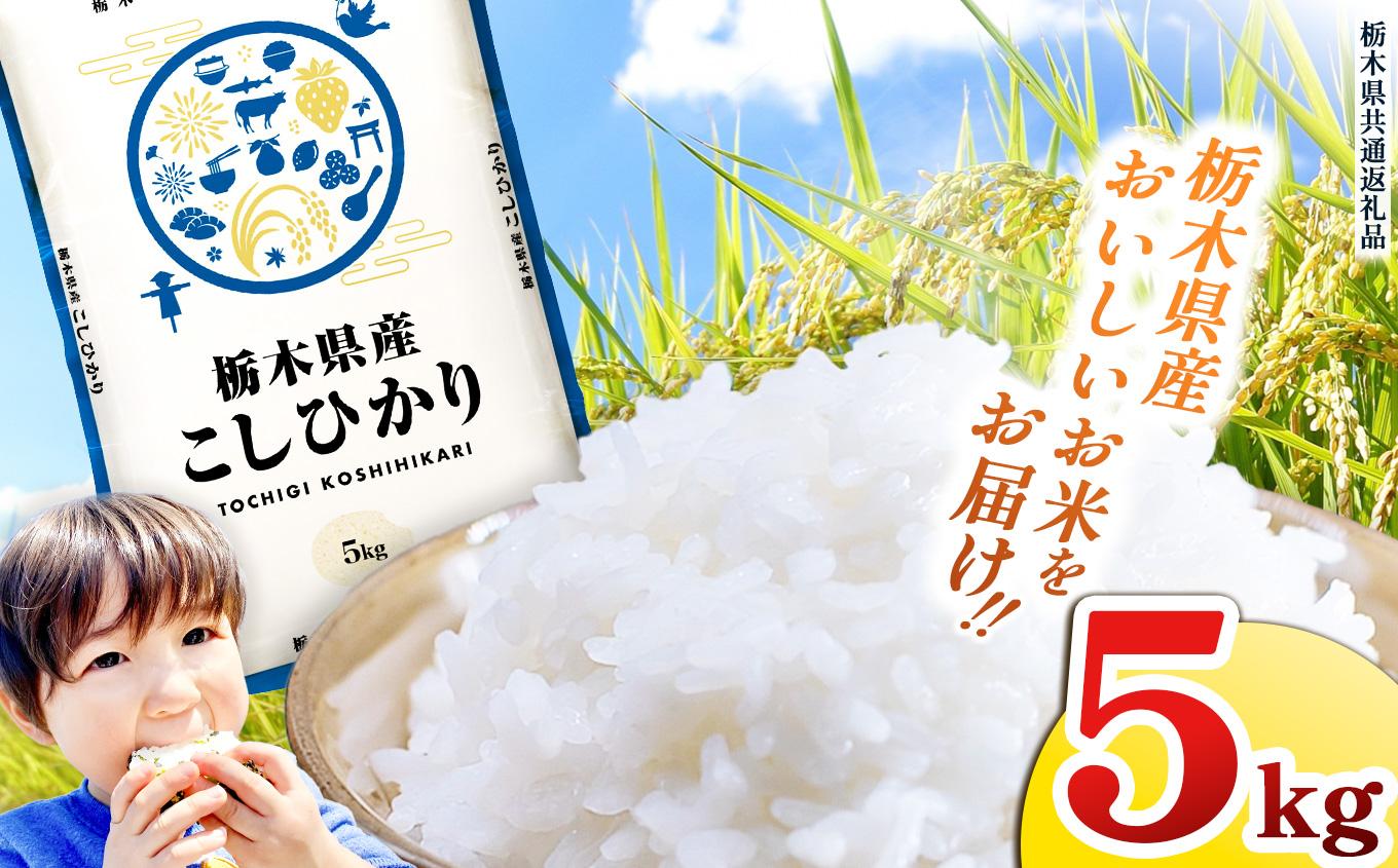 栃木県産 お米 こしひかり 5kg |  栃木県 矢板市 【栃木県共通返礼品】