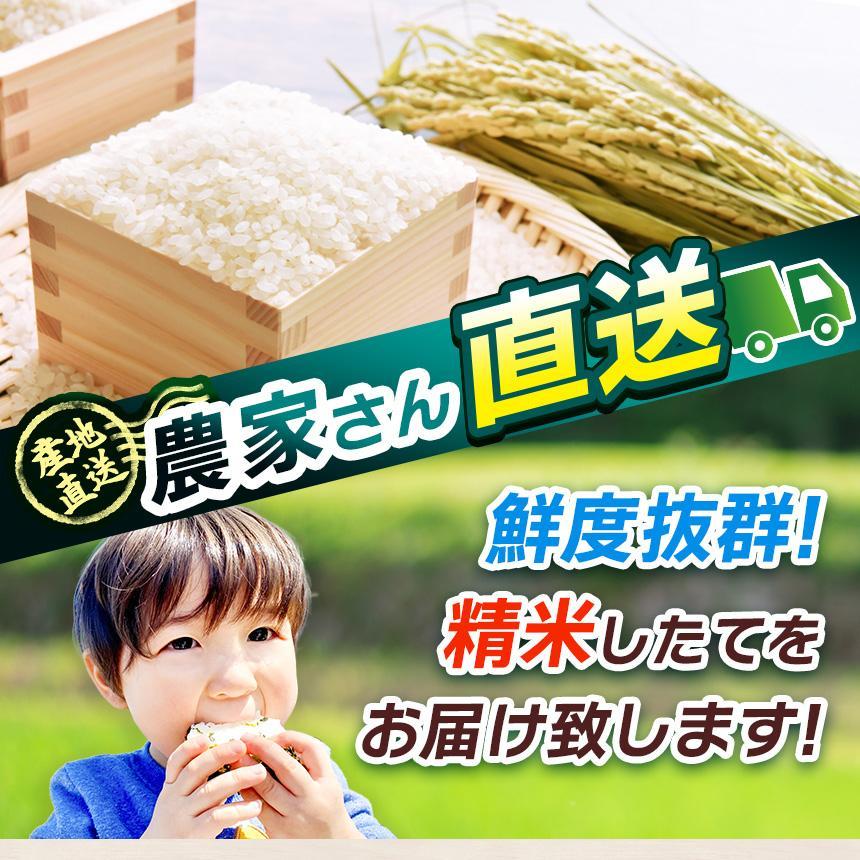【定期便3回】栃木県産 お米 こしひかり 5kg |  栃木県 矢板市 【栃木県共通返礼品】
