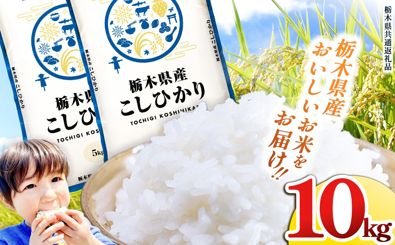 栃木県産 お米 こしひかり 10kg |  栃木県 矢板市 【栃木県共通返礼品】