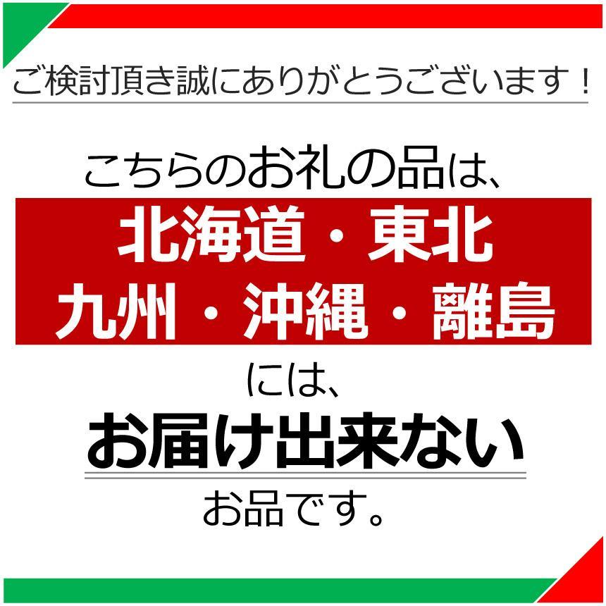【定期便3回】栃木県産 お米 こしひかり 10kg |  栃木県 矢板市 【栃木県共通返礼品】