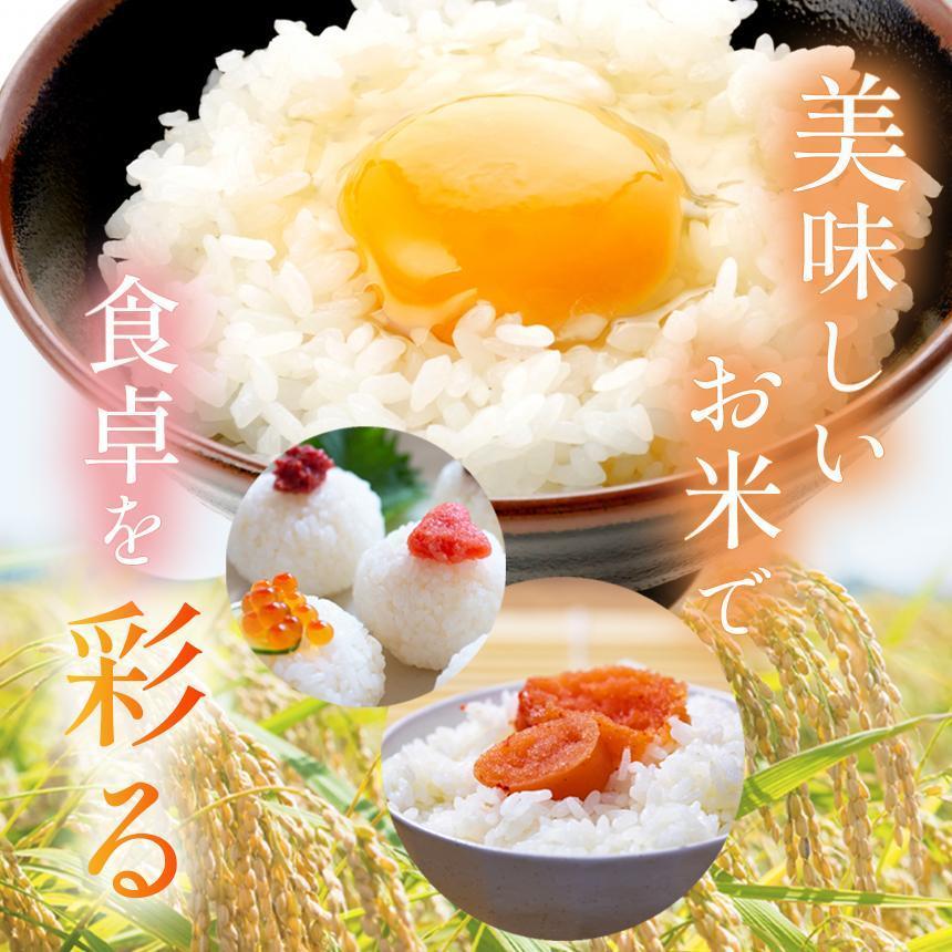 【定期便3回】栃木県産 お米 こしひかり 20kg |  栃木県 矢板市 【栃木県共通返礼品】