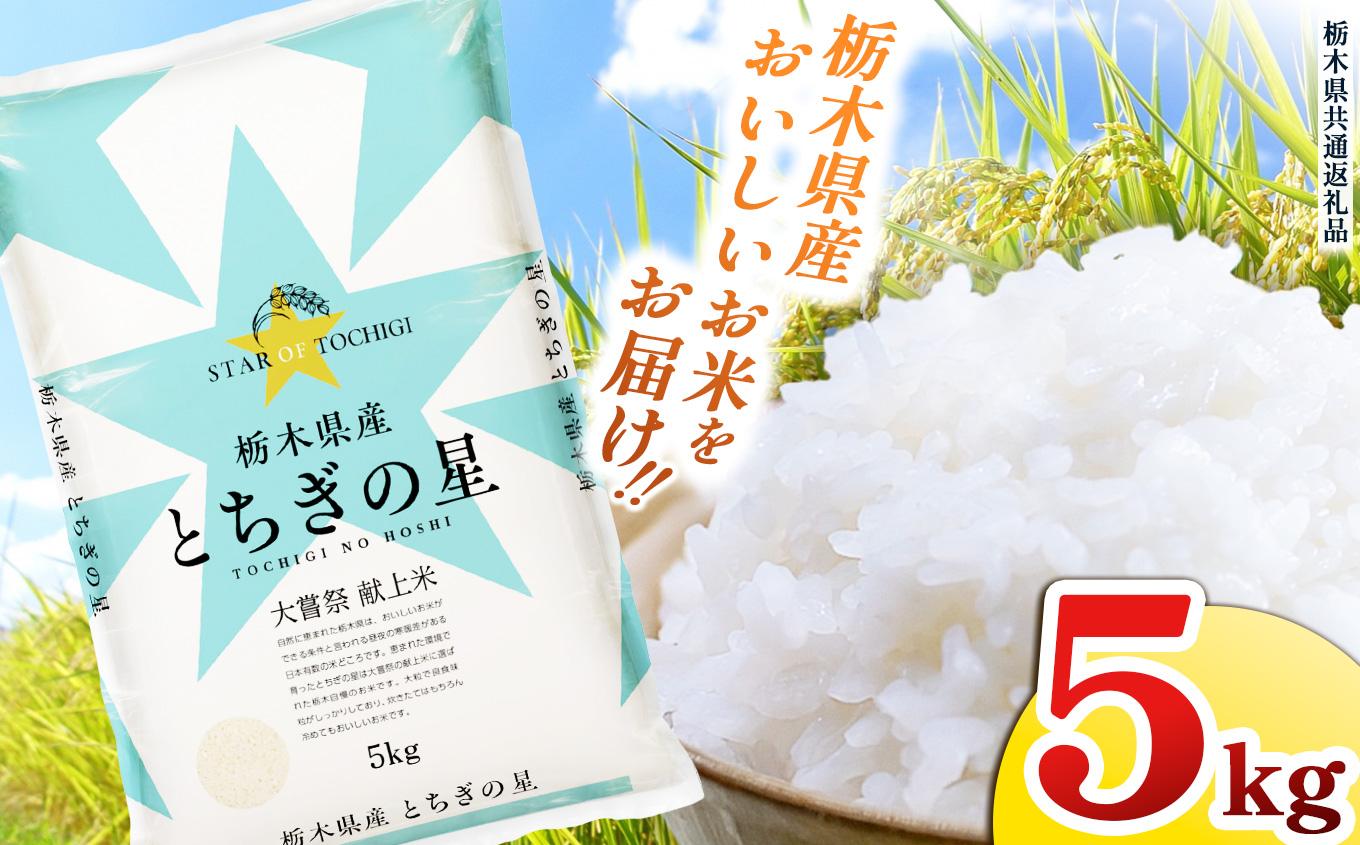 栃木県産 お米 とちぎの星 ５kg |  栃木県 矢板市 【栃木県共通返礼品】