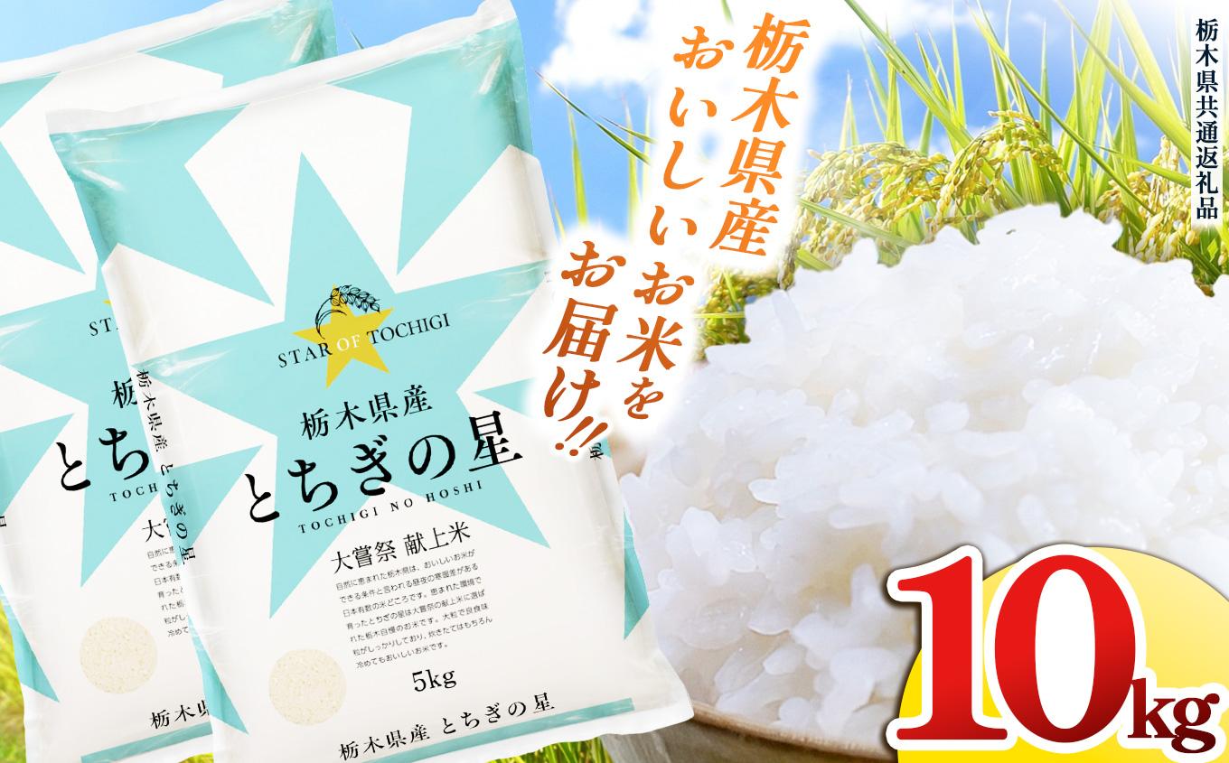 栃木県産 お米 とちぎの星 10kg |  栃木県 矢板市 【栃木県共通返礼品】
