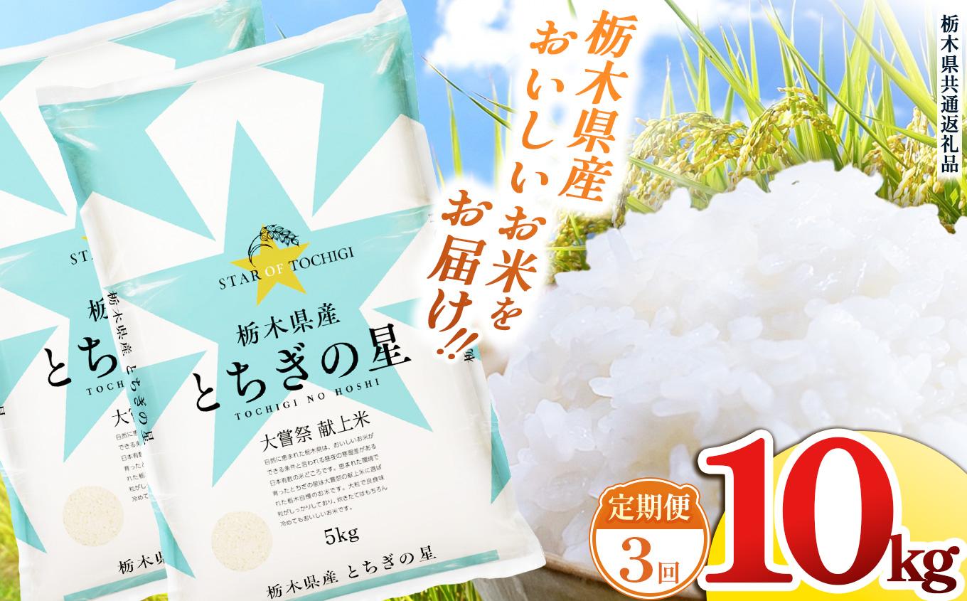 【定期便3回】栃木県産 お米 とちぎの星 10kg |  栃木県 矢板市 【栃木県共通返礼品】