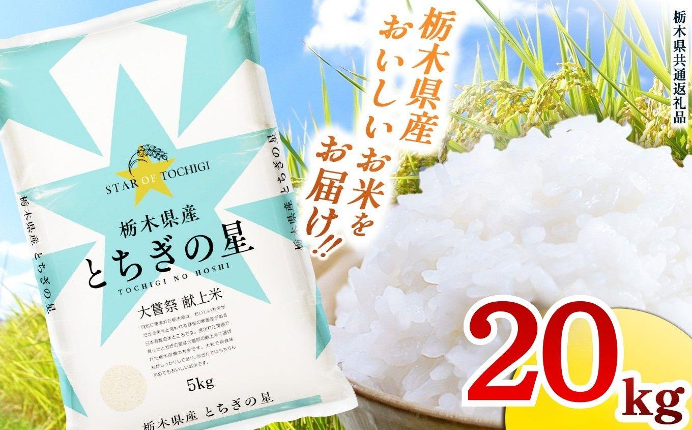 栃木県産 お米 とちぎの星 20kg |  栃木県 矢板市 【栃木県共通返礼品】