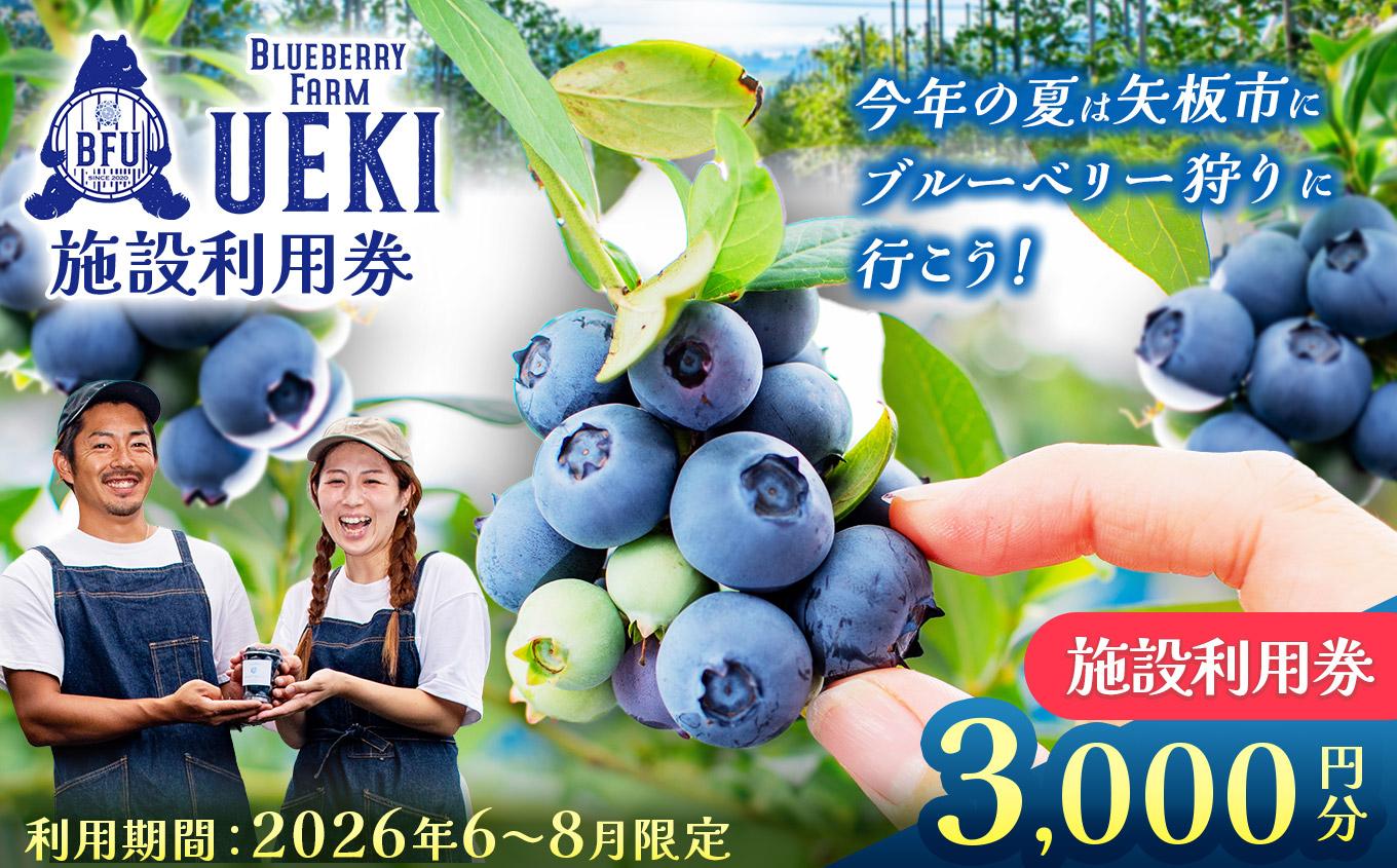 BULE BERRY FARM UEKI 施設利用券 ３０００円分