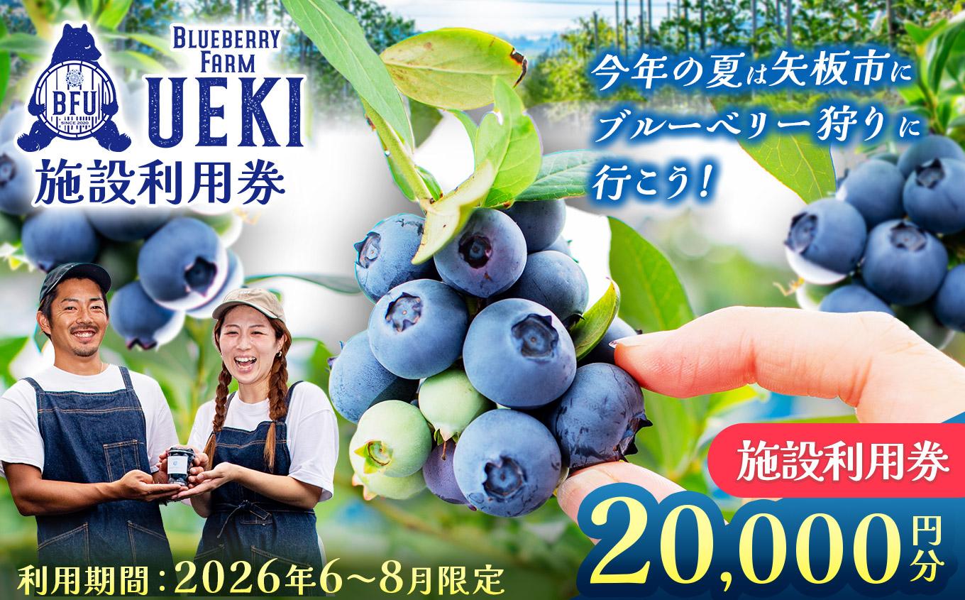 BULE BERRY FARM UEKI 施設利用券 20０００円分