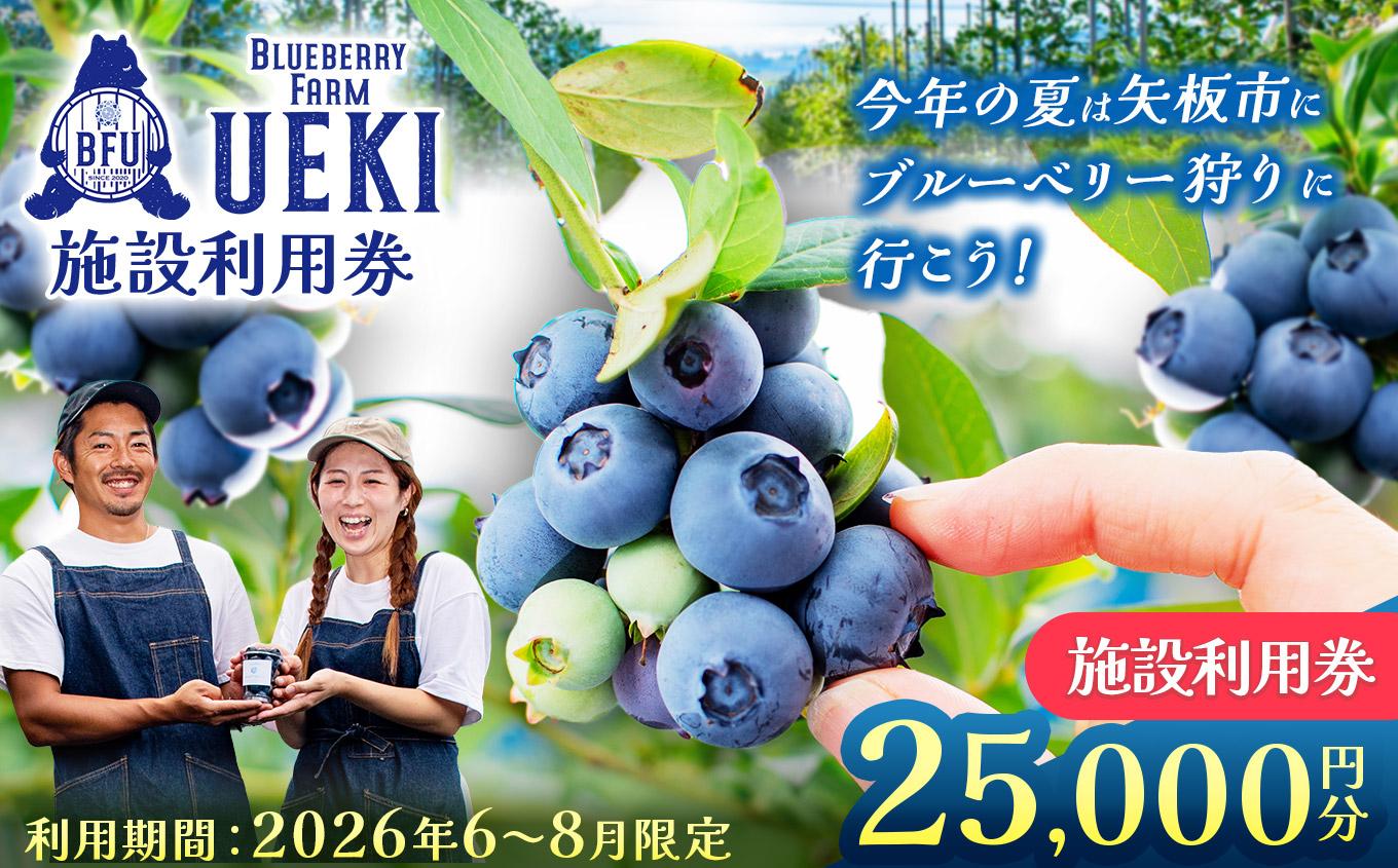 BULE BERRY FARM UEKI 施設利用券 2５０００円分