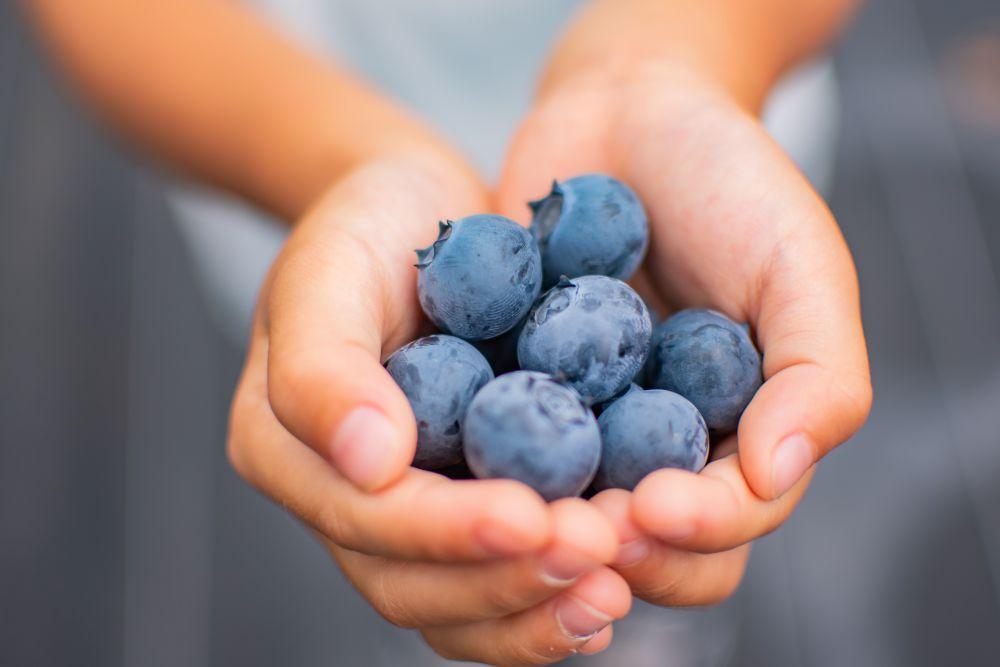 BULE BERRY FARM UEKI 施設利用券 2５０００円分