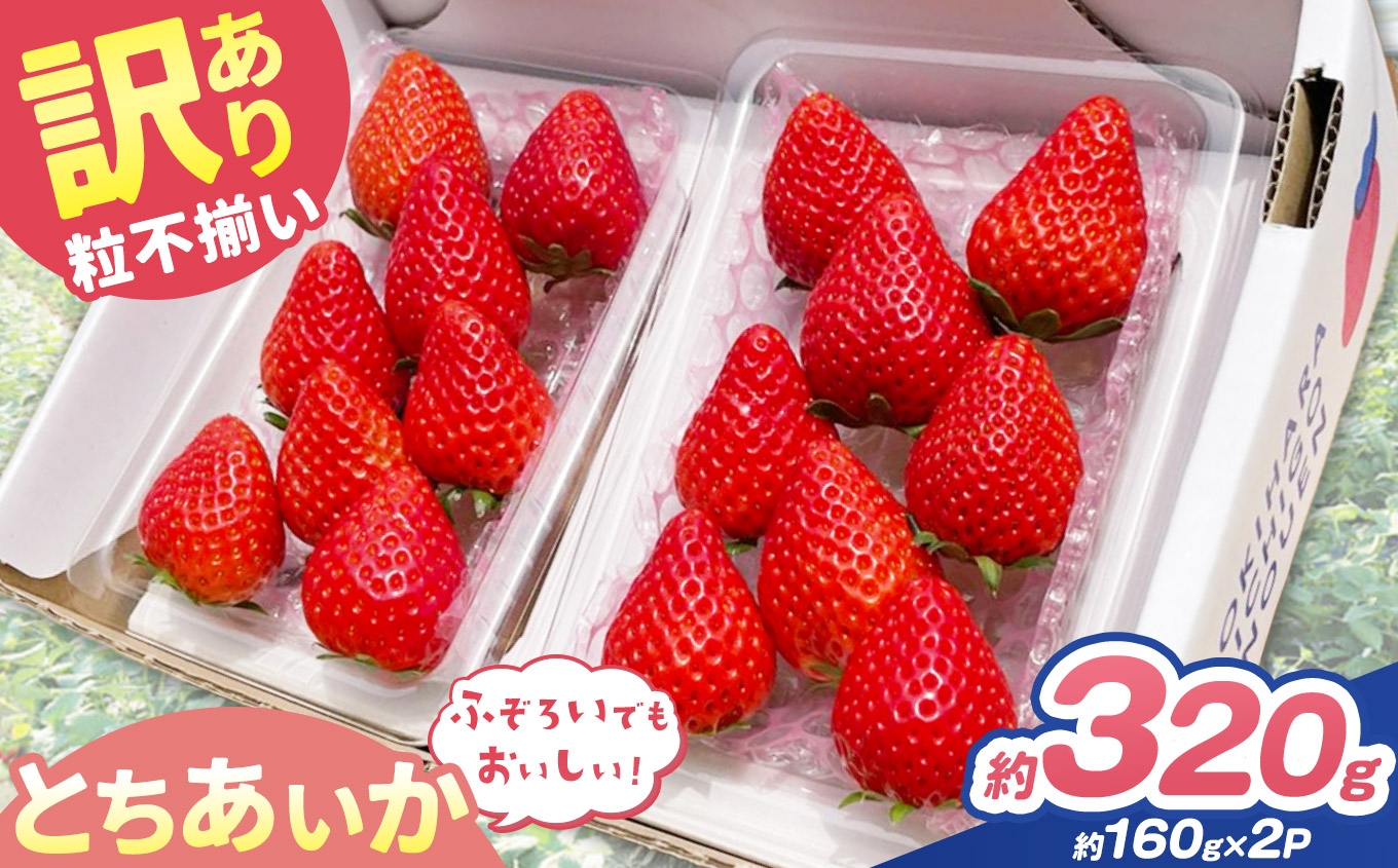 訳あり 粒不揃い とちあいか 320g (160g×2P) 【2027年先行予約】 いちご 苺 | 栃木県 矢板市