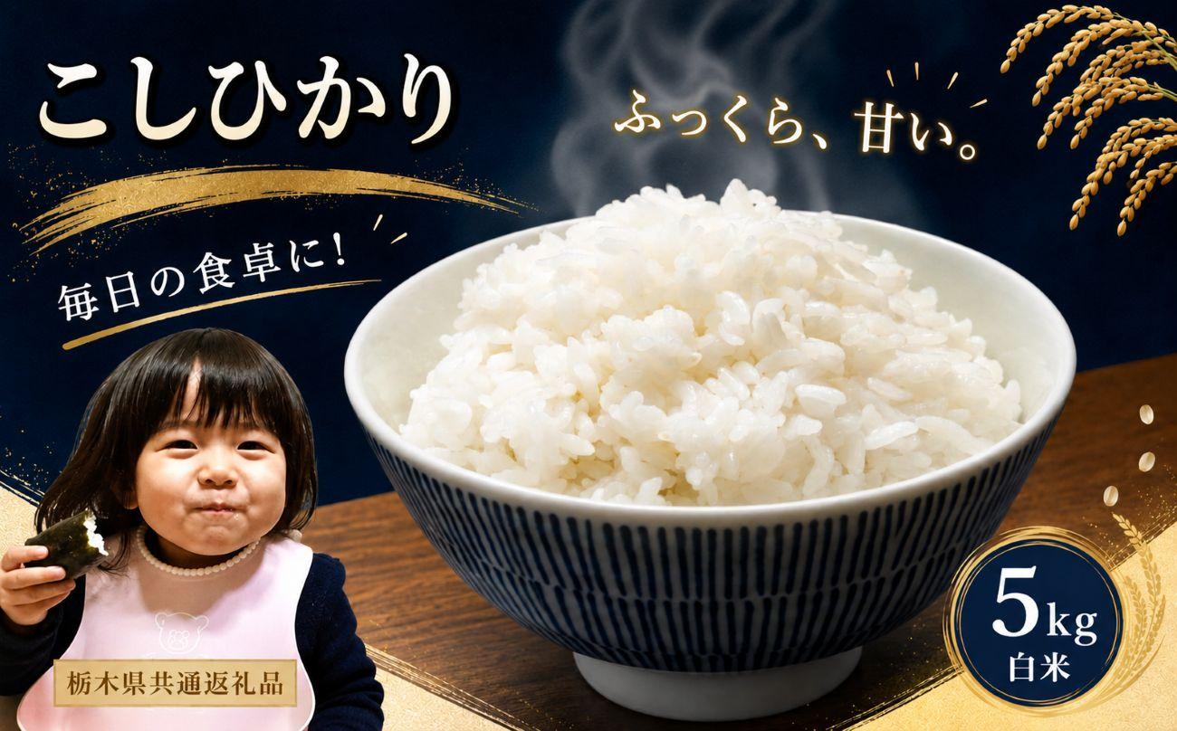 お米 令和8年産 こしひかり 白米 5kg【2026年 先行予約】 | 栃木県共通返礼品