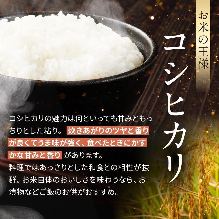 【令和8年産 新米】 【定期便6回】栃木県産 お米 こしひかり　（白米） 2kg 【2026年秋 先行予約】 |  栃木県 矢板市 【栃木県共通返礼品】