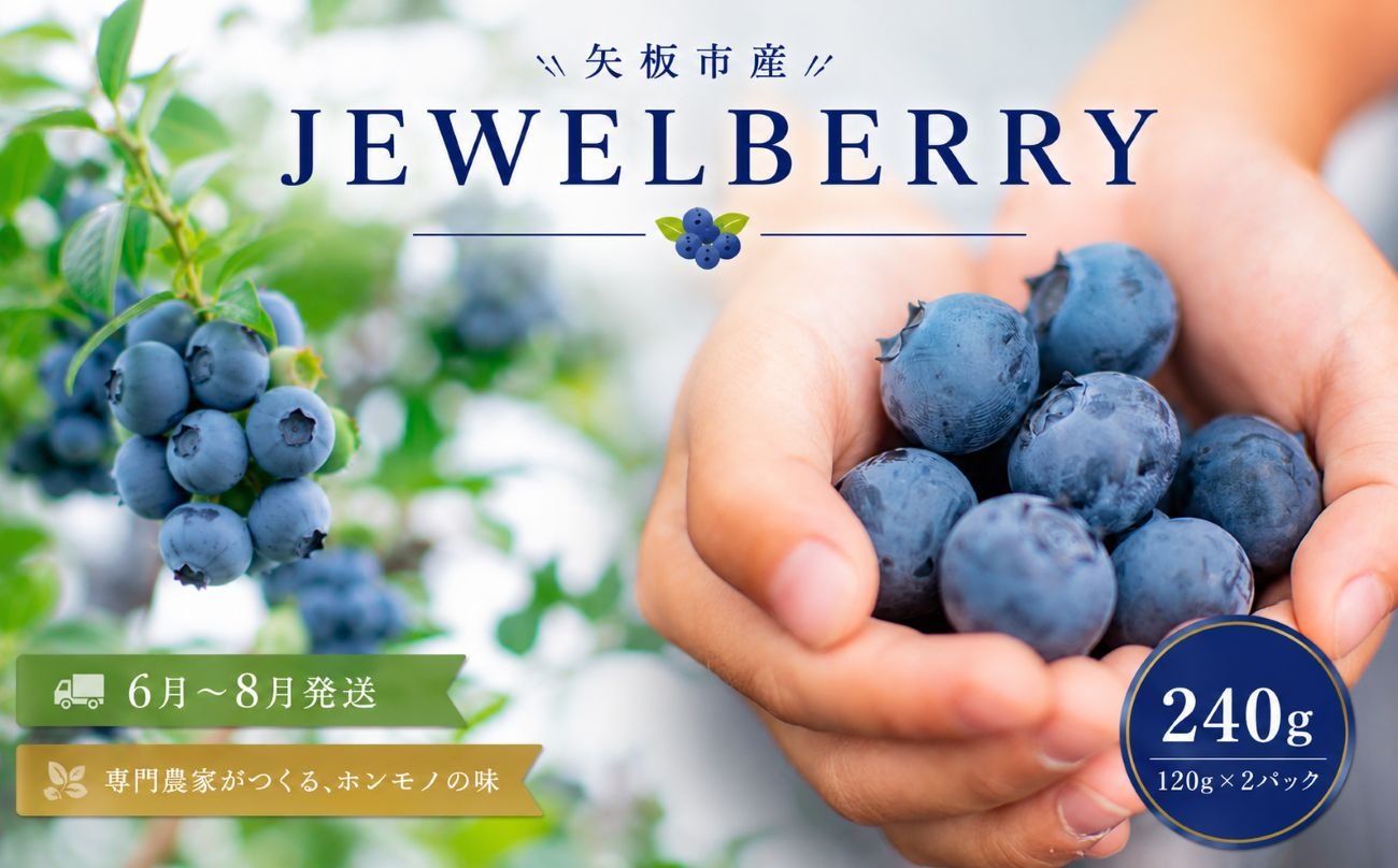矢板市産 完熟 ブルーベリー　[JEWELBERRY] 240g（120g×2パック） 【2026年6月～8月発送】 栃木県 矢板市