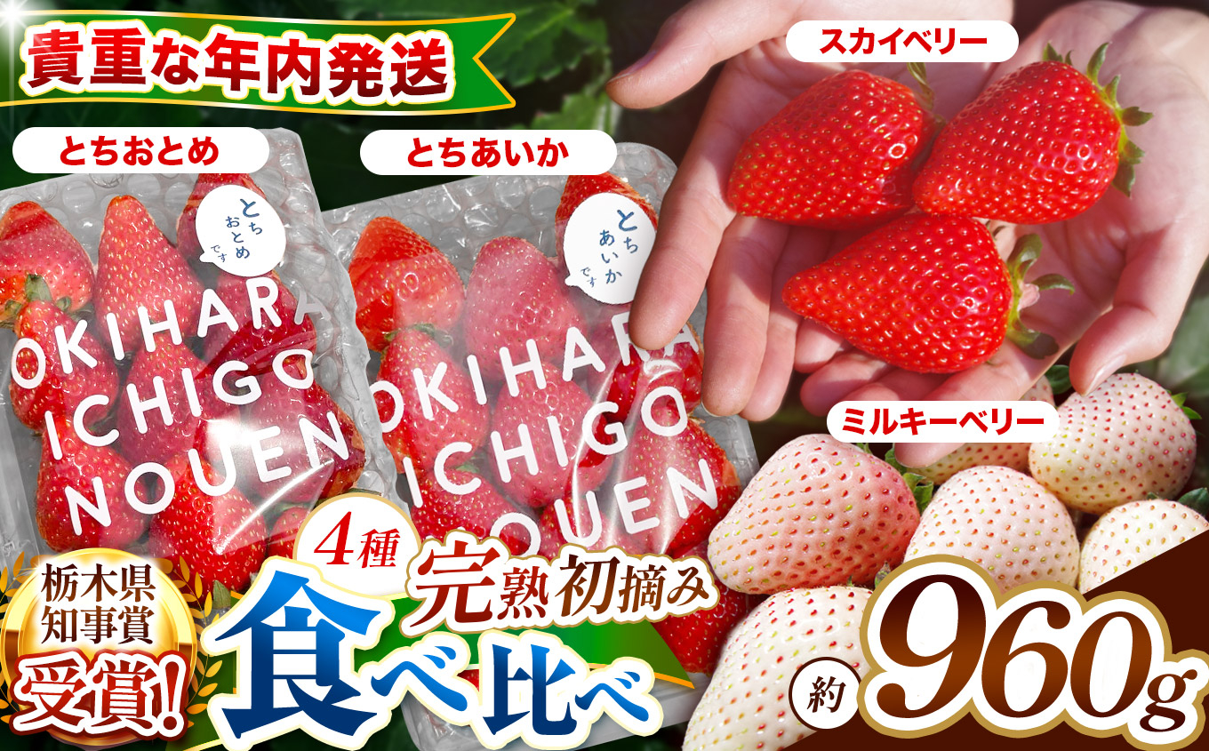 【先行予約】貴重な12月発送！贅沢な栃木のいちご4種食べ比べセット 960g | とちあいか とちおとめ スカイベリー ミルキーベリー