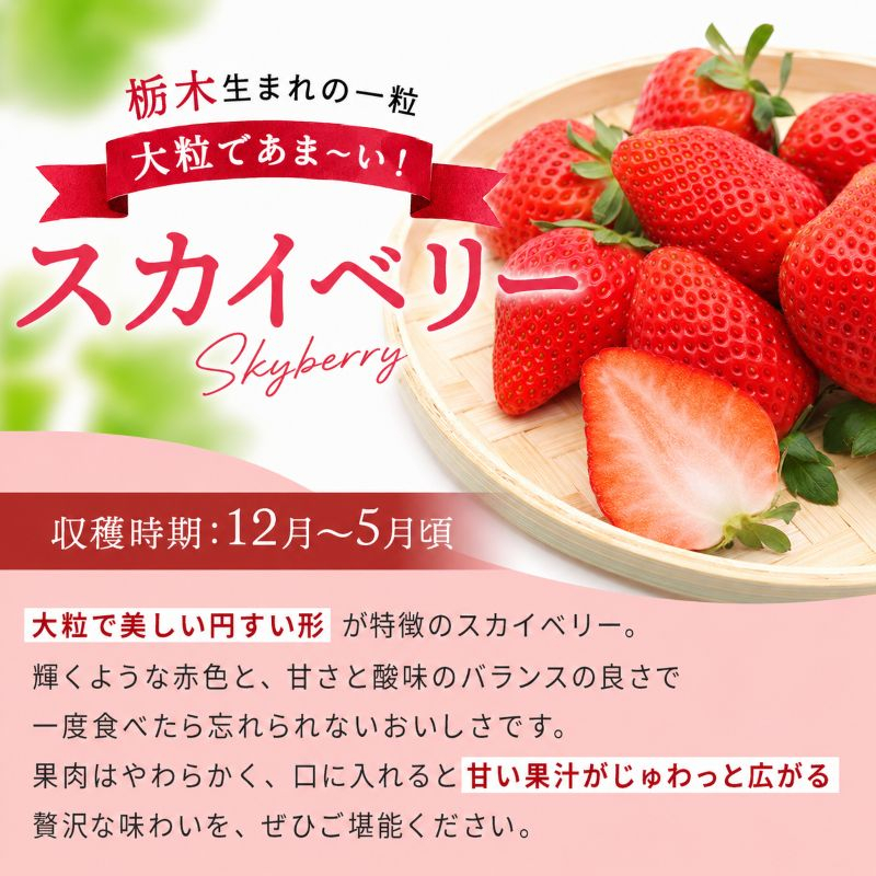 ãå®æäŸ¿3åãé ¬åŒµã幞ãâ
å€§ç² ãã¹ã«ã€ããªãŒã 560g (280gÃ2P)| 柳åãã¡ãèŸ²å æ æšç ç¢æ¿åž