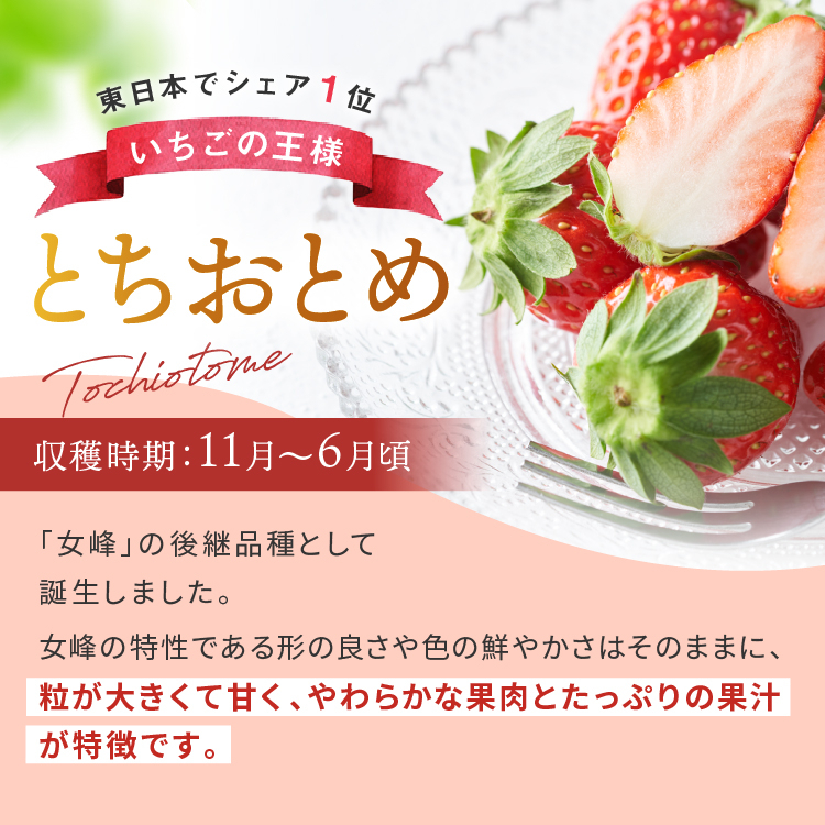æ æšã®ãã¡ãïŒå
ç¥ ããšã¡ããšãã 1,120g (280gÃ4P)| 柳åãã¡ãèŸ²å æ æšç ç¢æ¿åž