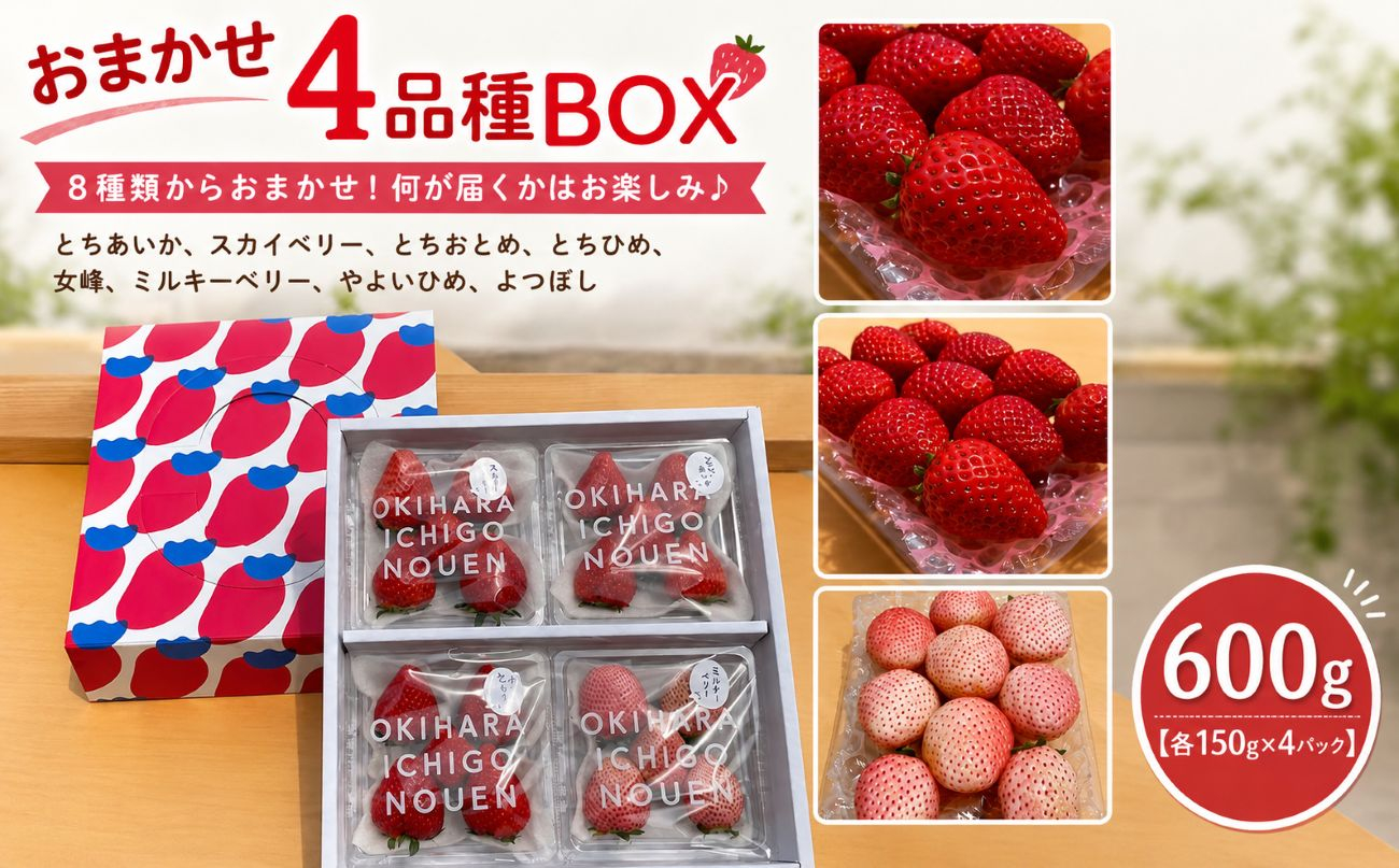 いちご 人気 食べ比べ 4品種 おまかせセット 約600g 【先行予約】 栃木県 矢板市 澳原いちご農園