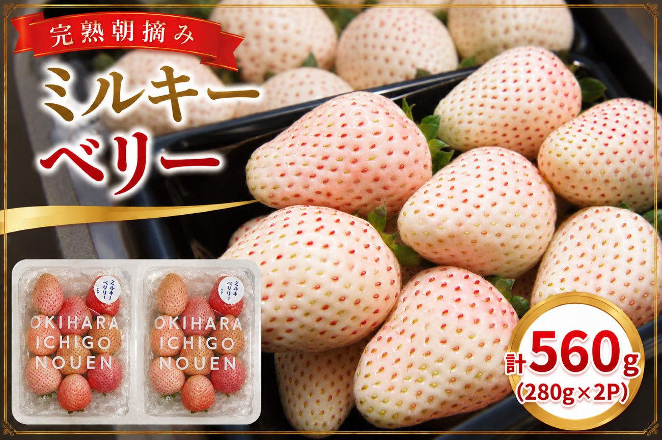 白いちご「ミルキーベリー」 560g (280g×2P)|  栃木県 矢板市 澳原いちご農園
