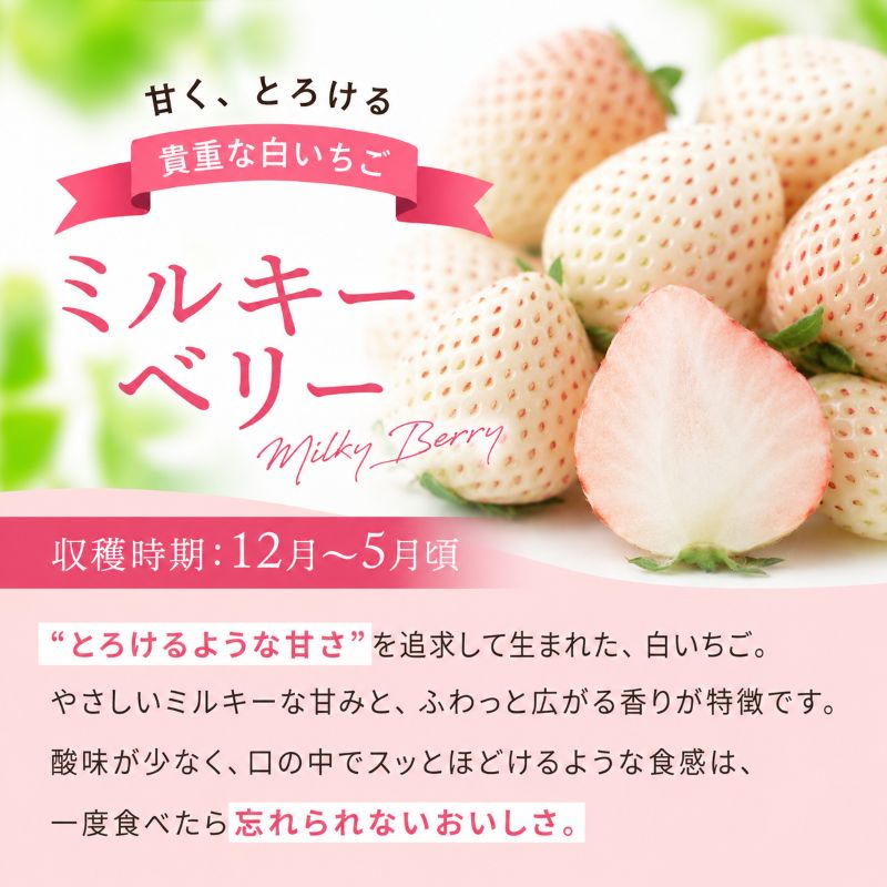 白いちご「ミルキーベリー」 560g (280g×2P)|  栃木県 矢板市 澳原いちご農園