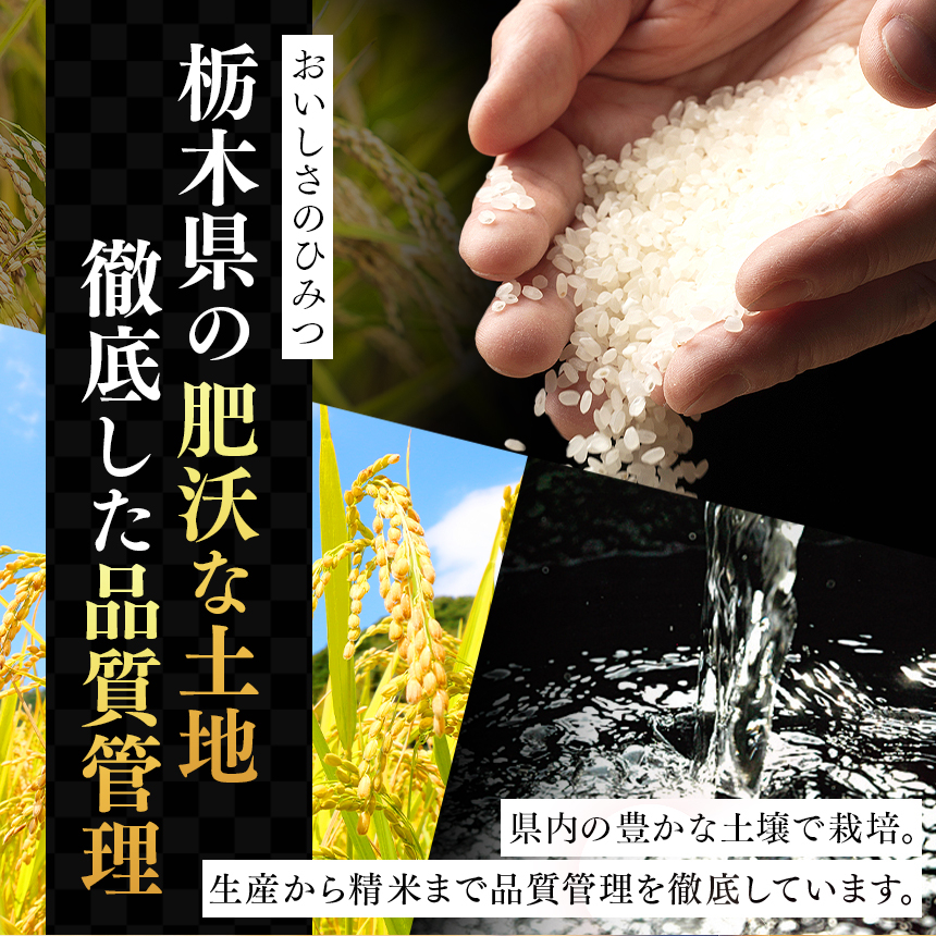 栃木県産 お米 白米 ブレンド米 5kg | 栃木県 矢板市　栃木県共通返礼品