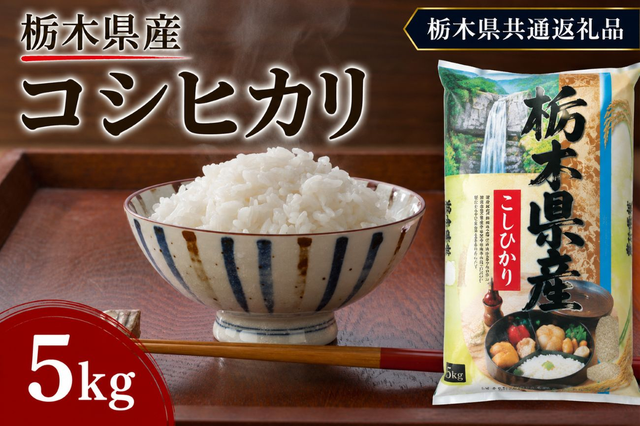 栃木県産 お米 白米 こしひかり 5kg | 栃木県 矢板市　栃木県共通返礼品