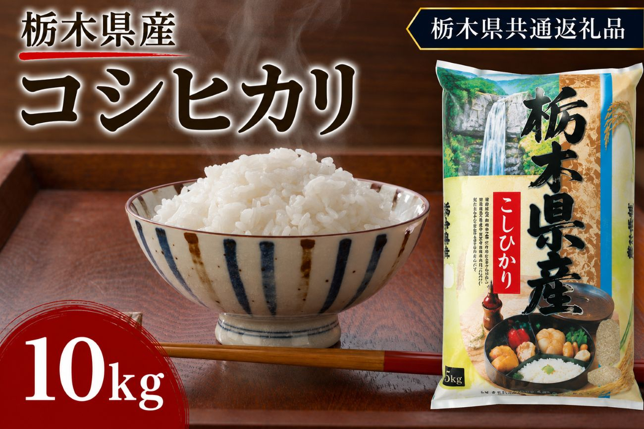 栃木県産 お米 白米 こしひかり 10kg | 栃木県 矢板市　栃木県共通返礼品