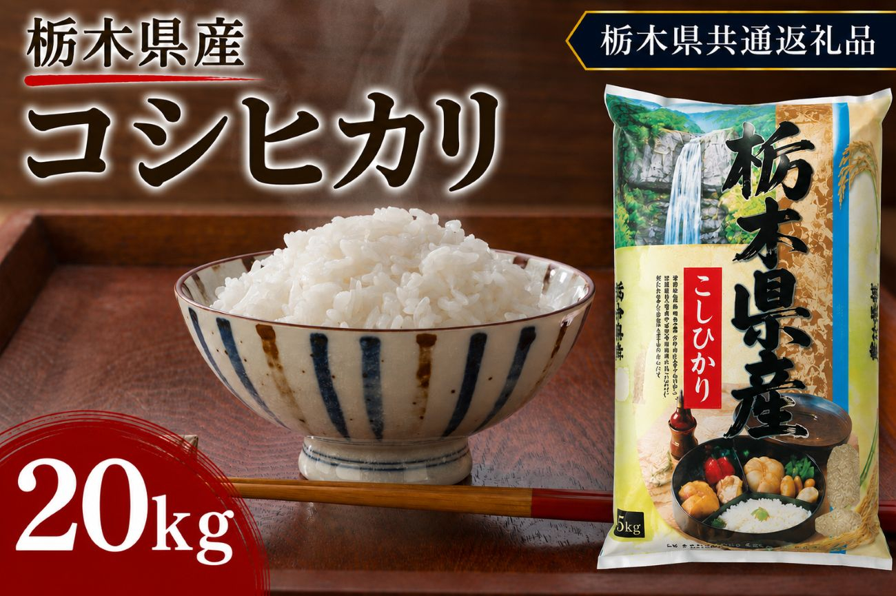 栃木県産 お米 白米 こしひかり 20kg | 栃木県 矢板市　栃木県共通返礼品