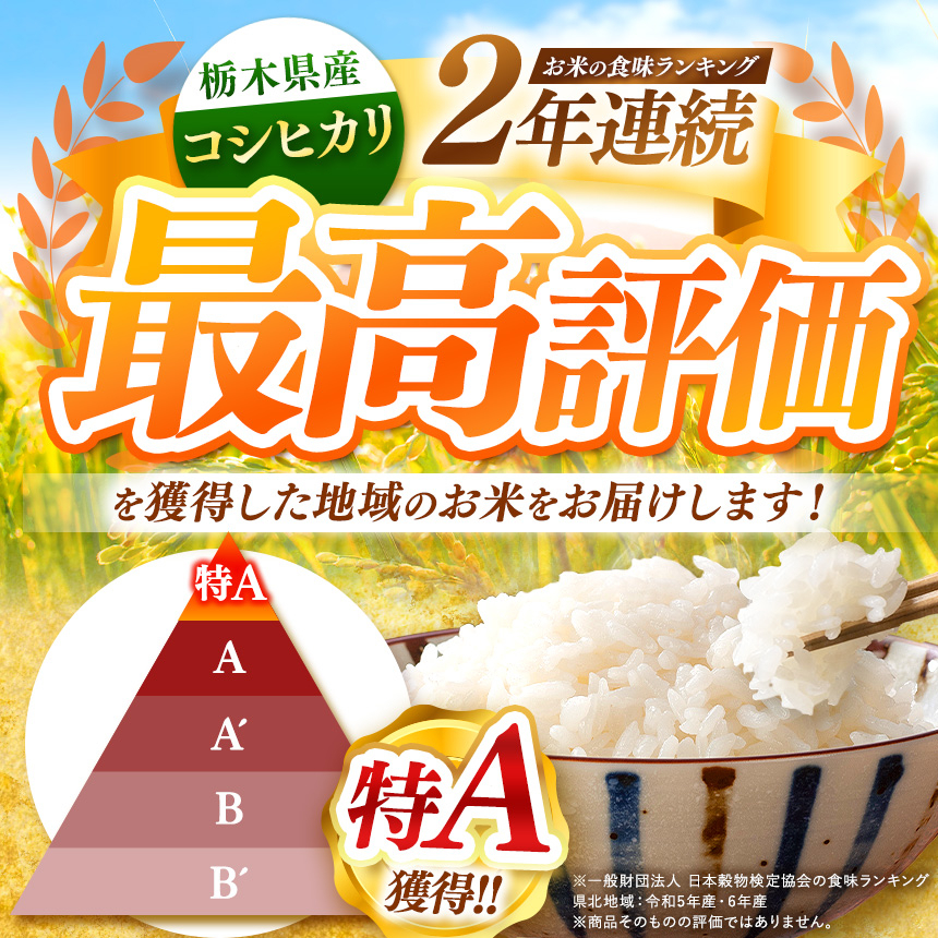 栃木県産 お米 白米 こしひかり 20kg | 栃木県 矢板市　栃木県共通返礼品