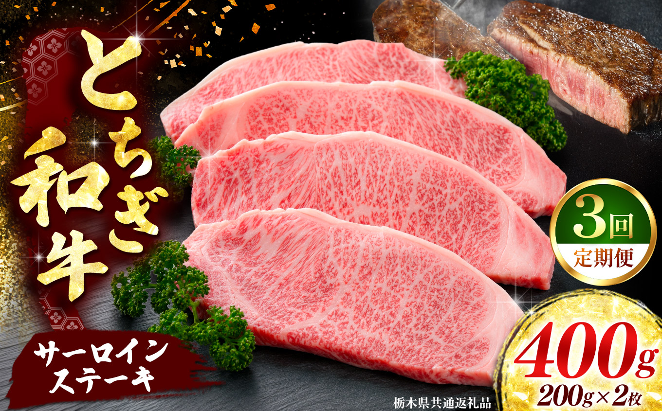 《定期便3回》【とちぎ和牛】牛肉 サーロインステーキ 200g×2P  《栃木県共通返礼品》