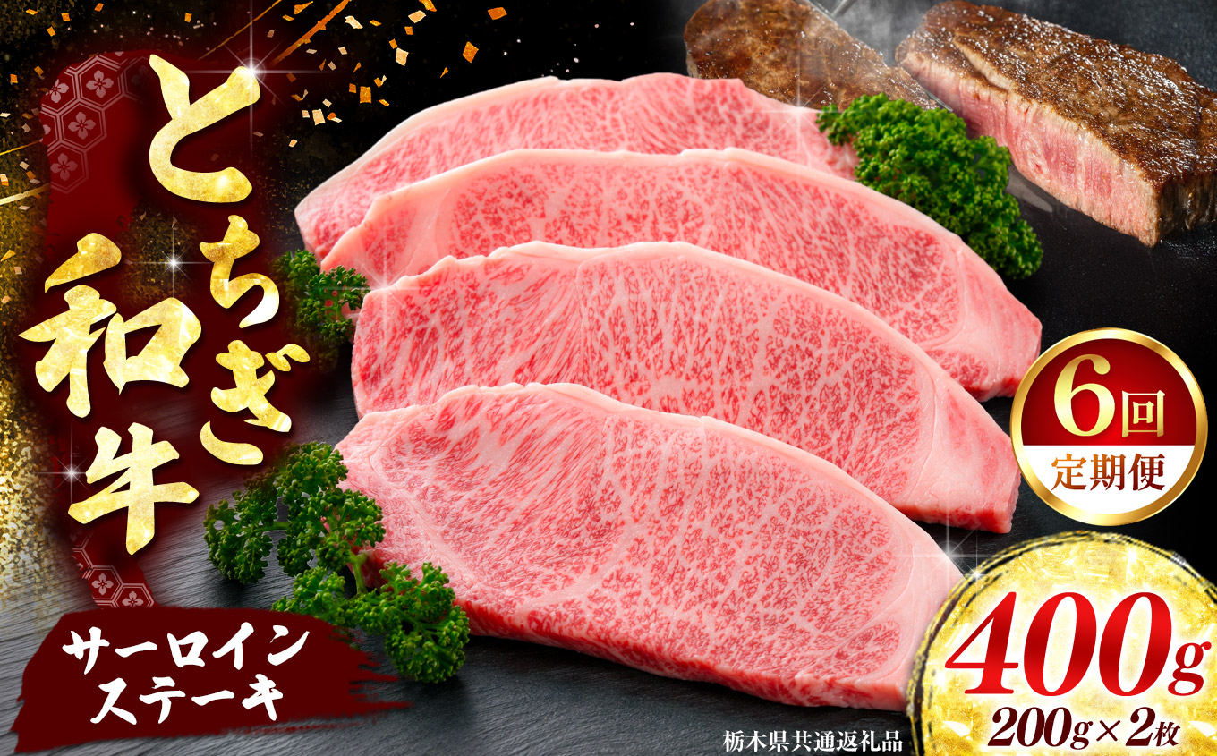 《定期便6回》【とちぎ和牛】牛肉 サーロインステーキ 200g×2P  《栃木県共通返礼品》