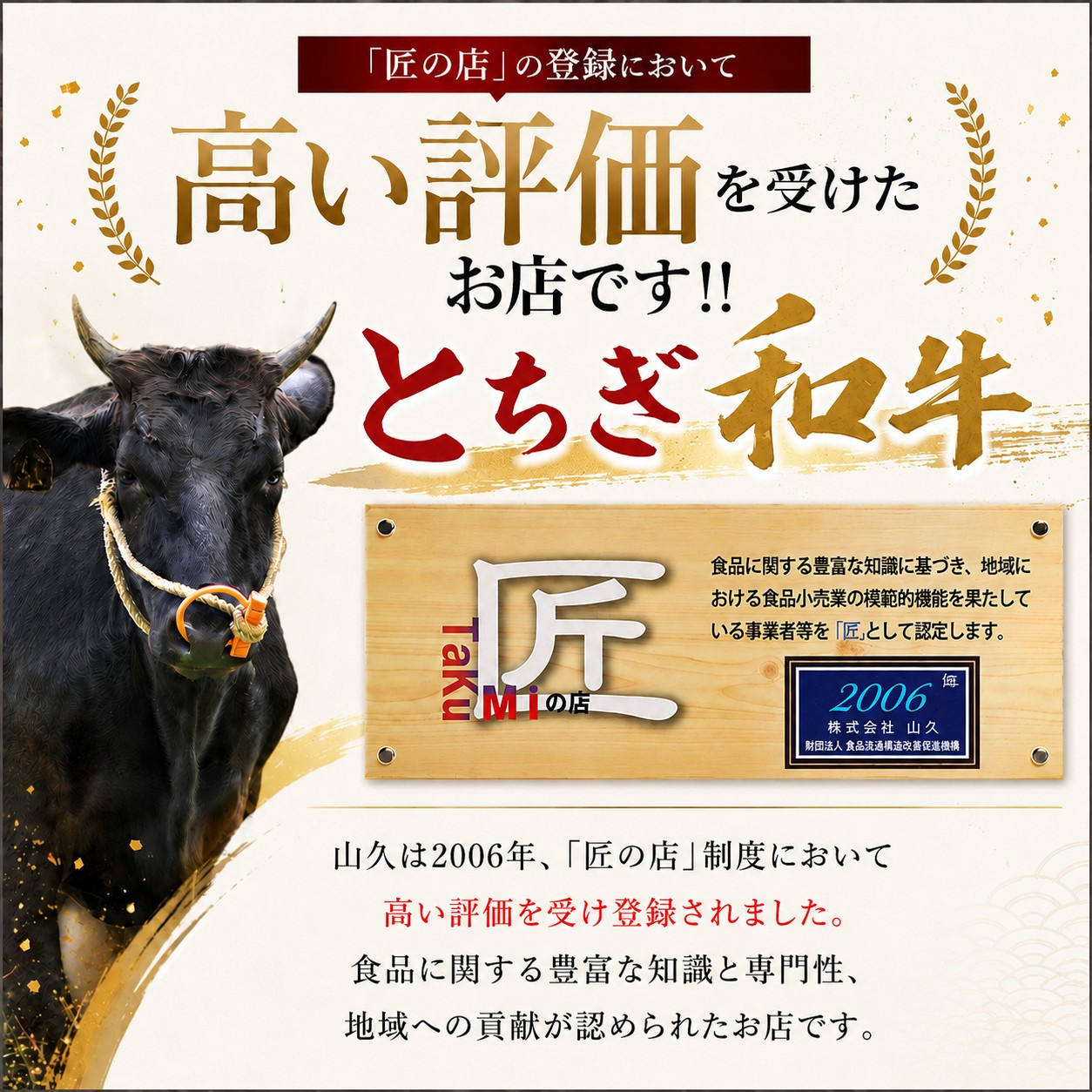 《定期便6回》【とちぎ和牛】牛肉 サーロインステーキ 200g×2P  《栃木県共通返礼品》