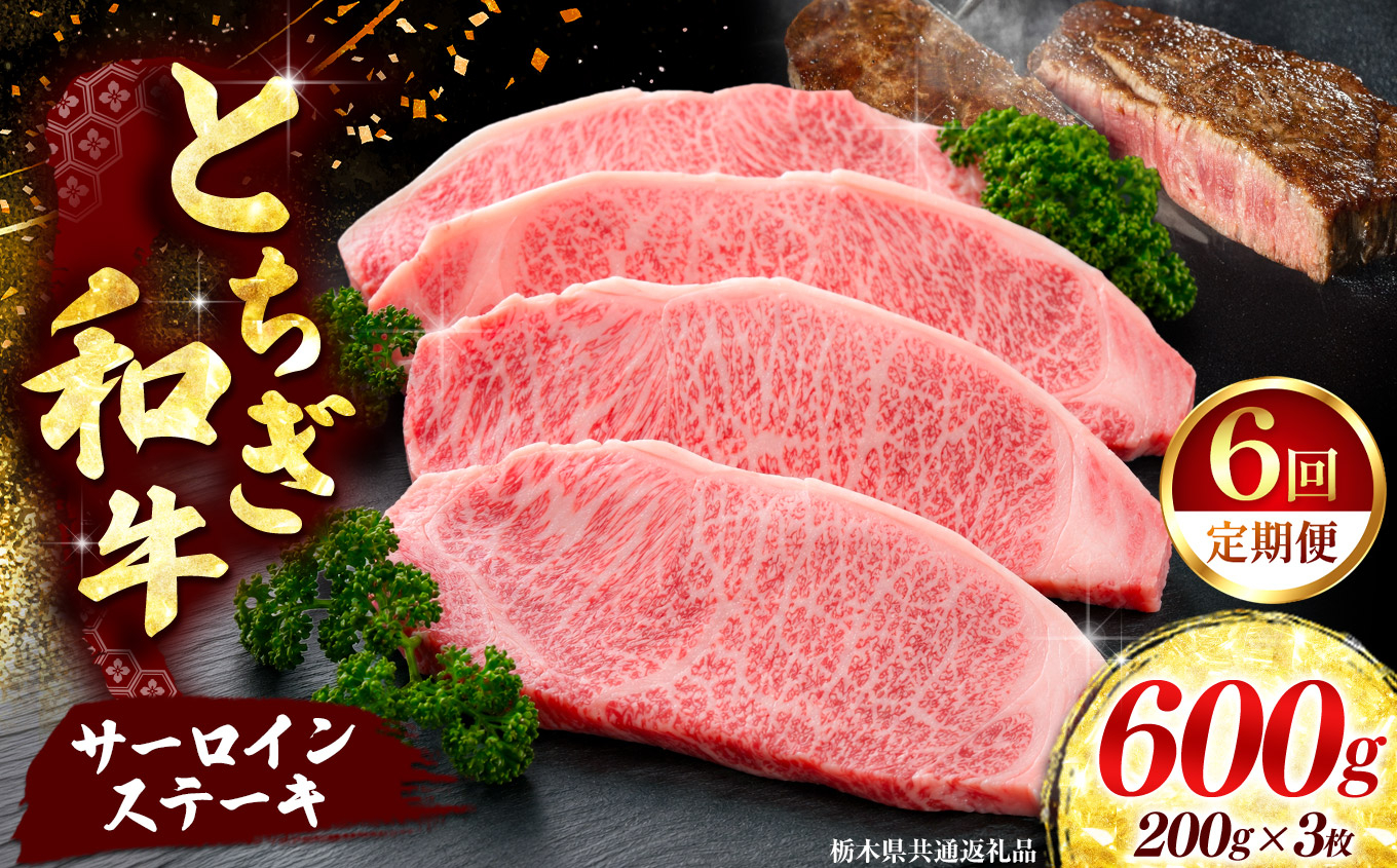 《定期便6回》【とちぎ和牛】牛肉 サーロインステーキ 200g×3P  《栃木県共通返礼品》