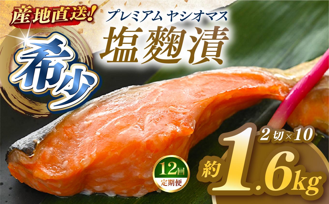 【定期便12回】「プレミアムヤシオマス」の塩麹漬 2切入×10パック  [ 冷凍便 ] | 魚 ます 養殖 産地直送 栃木県 (毎月お届け）