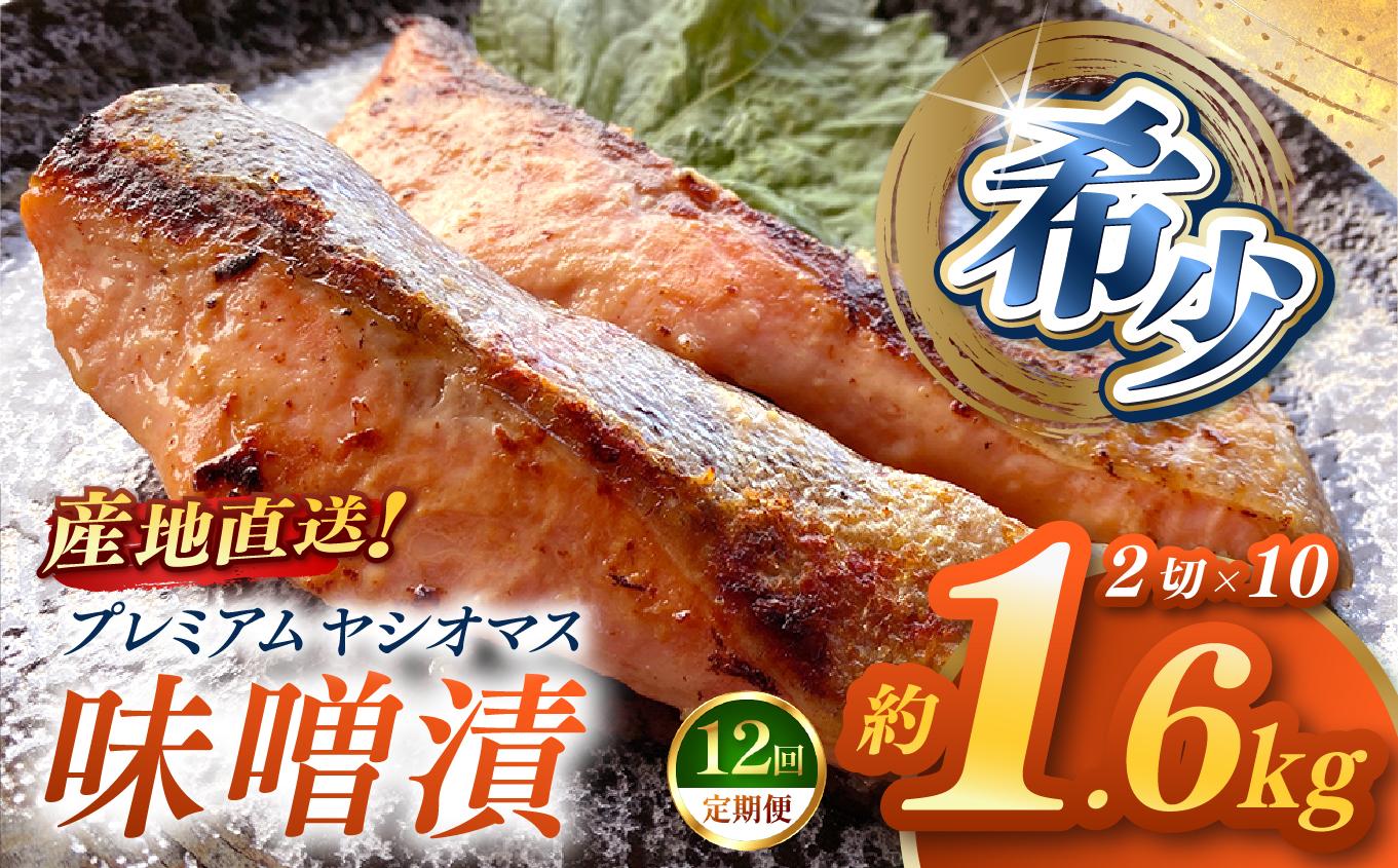 【定期便12回】「プレミアムヤシオマス」の味噌漬 2切入×10パック  [ 冷凍便 ] | 魚 ます 養殖 産地直送 栃木県 (毎月お届け）