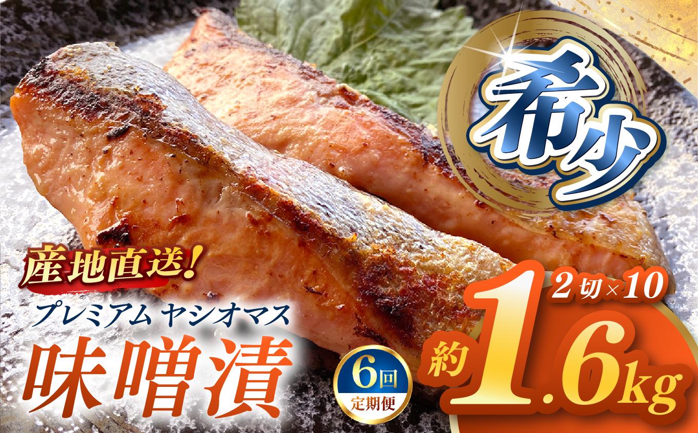 【定期便6回】「プレミアムヤシオマス」の味噌漬 2切入×10パック  [ 冷凍便 ] | 魚 ます 養殖 産地直送 栃木県 (毎月お届け）