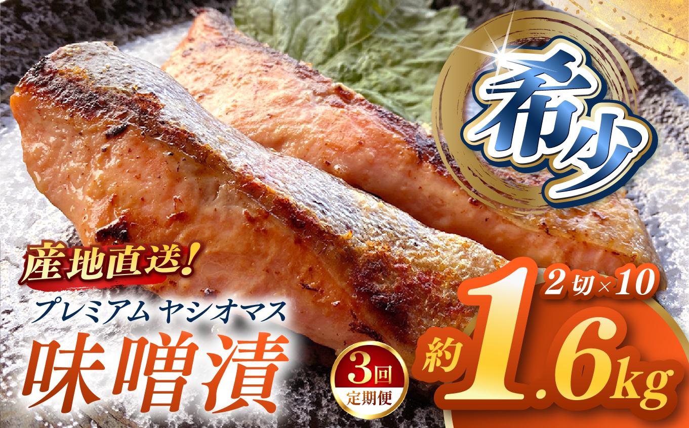 【定期便3回】「プレミアムヤシオマス」の味噌漬 2切入×10パック  [ 冷凍便 ] | 魚 ます 養殖 産地直送 栃木県 (毎月お届け）